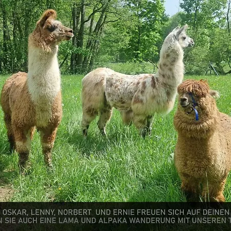 Ferienwohnung Julia Eifel *