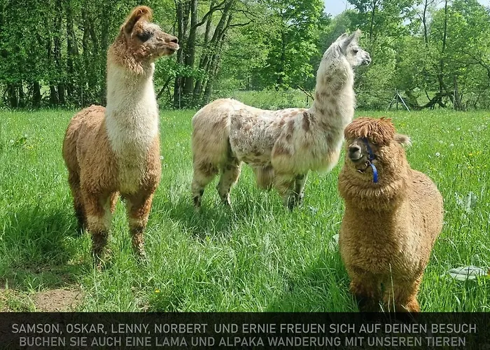 Ferienwohnung Julia Eifel *